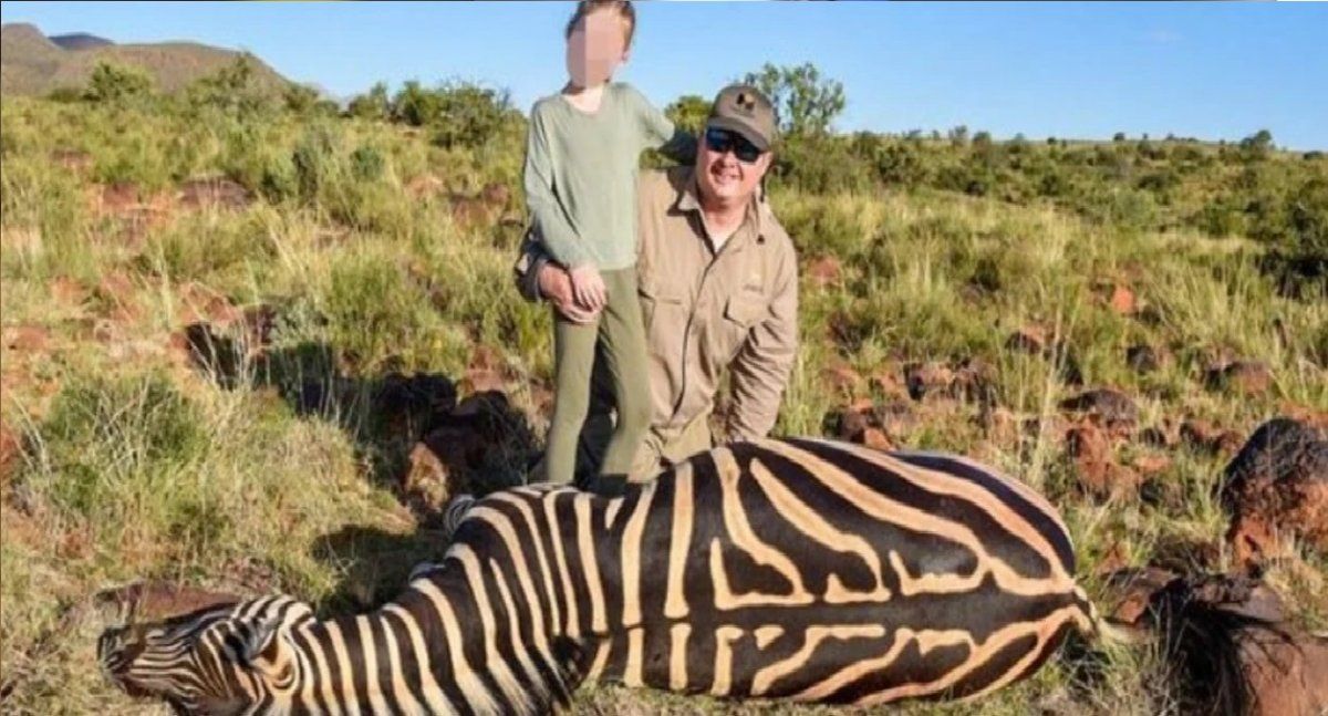 Cazadores alemanes mataron a 543 animales protegidos