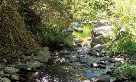 Escapada a la reserva ecológica Vaquerías, rodeada de cascadas, arroyos y sierras en Córdoba. Escapada a la reserva ecológica Vaquerías, rodeada de cascadas, arroyos y sierras en Córdoba.