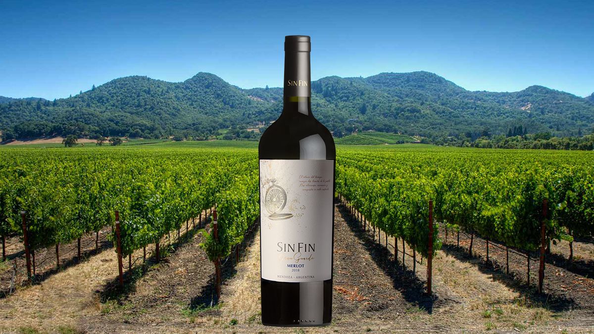 Bodega SINFIN lanza al mercado su nuevo Gran Guarda Merlot