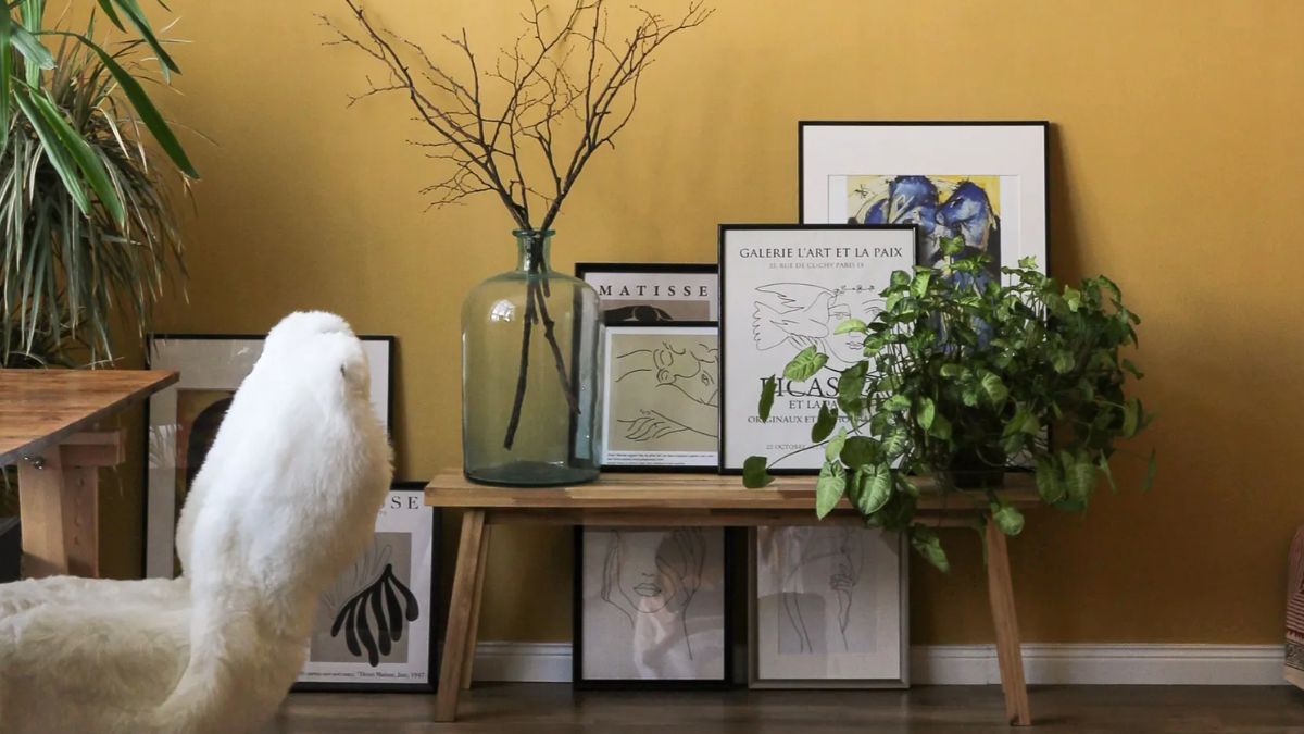 Ubicar plantas en espacios clave ayuda a crear ambientes más armónicos y relajados. Ubicar plantas en espacios clave ayuda a crear ambientes más armónicos y relajados.