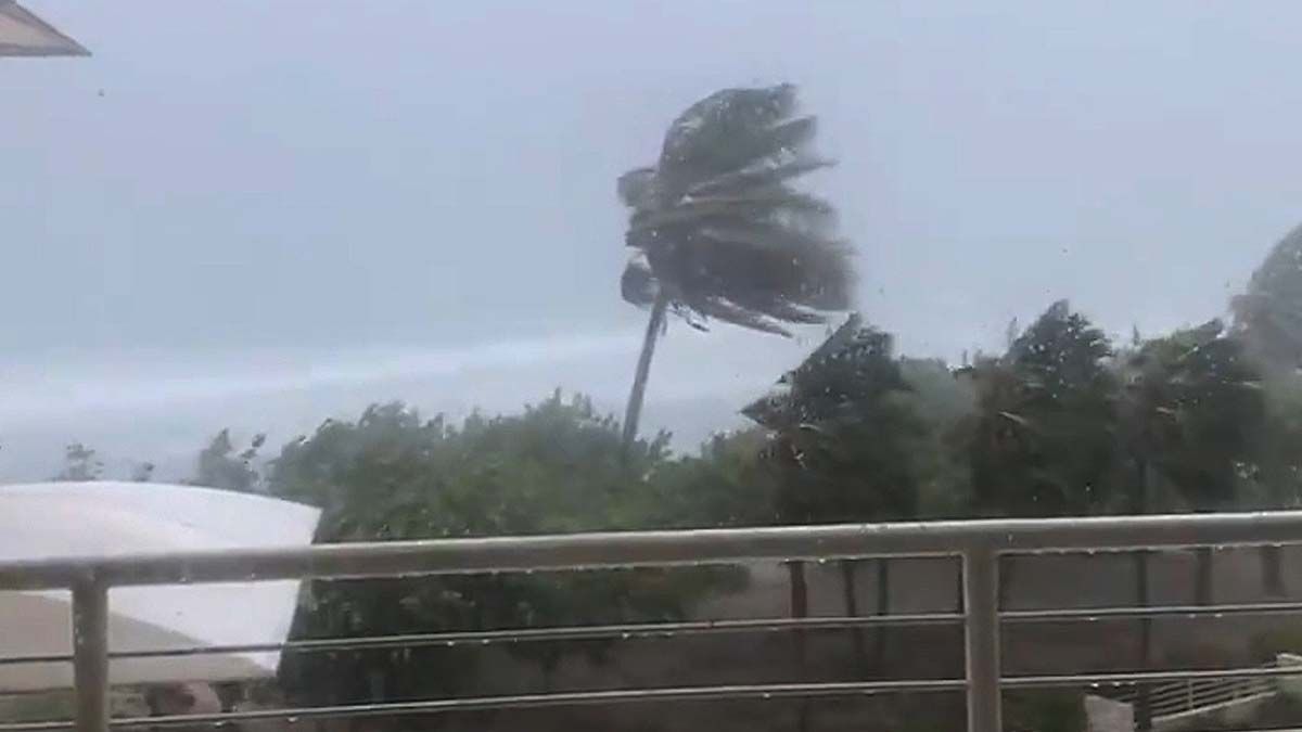 La tormenta tropical Elsa golpea el Caribe y la costa de Florida. La Nasa publicó unas imágenes impresionantes desde el espacio.