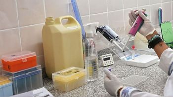 El Ministerio de Salud de la Provincia concretó una transferencia tecnológica para que los efectores santafesinos procesen de forma autónoma la técnica molecular de PCR-Chlamydia psittaci