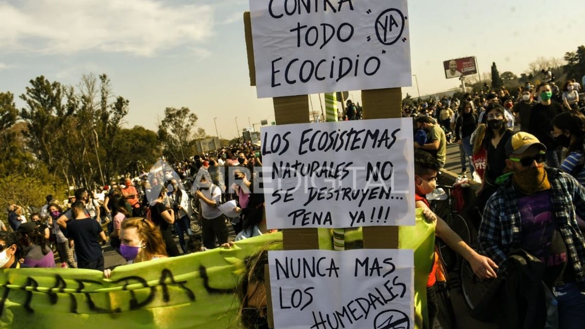 Más de 1.500 personas marcharon con pancartas y carteles en el puente Rosario-Victoria para pedir por la Ley de Humedales.&nbsp;