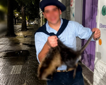 Maltrato animal en Bahía Blanca: mataron a patadas a una nutria, se filmaron y fueron denunciados. Maltrato animal en Bahía Blanca: mataron a patadas a una nutria, se filmaron y fueron denunciados.
