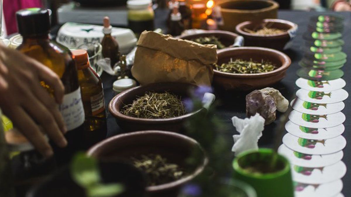 El objetivo de este proyecto de ley consiste en poder emitir una autorizaci&oacute;n desde el Estado provincial para que sea posible el autocultivo con fines medicinales en la provincia.