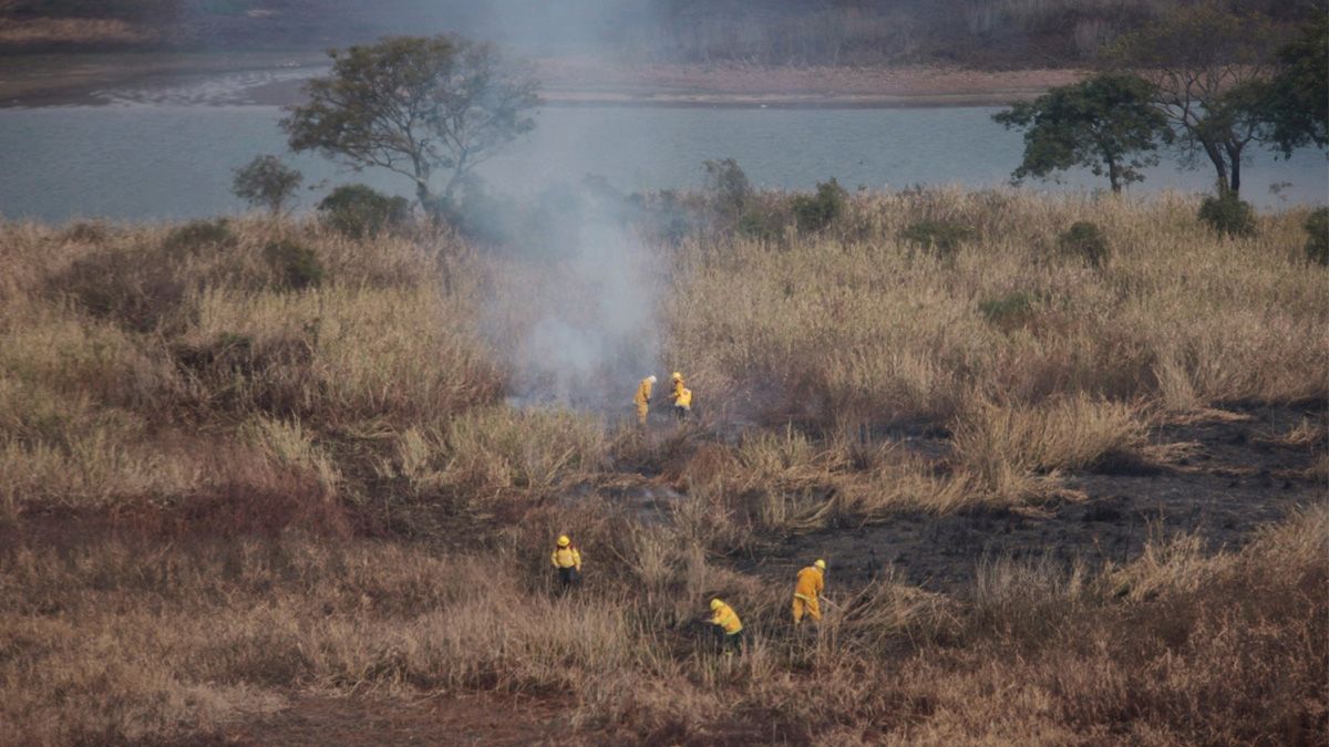 Así se combaten los focos ígneos en el Delta del Paraná.