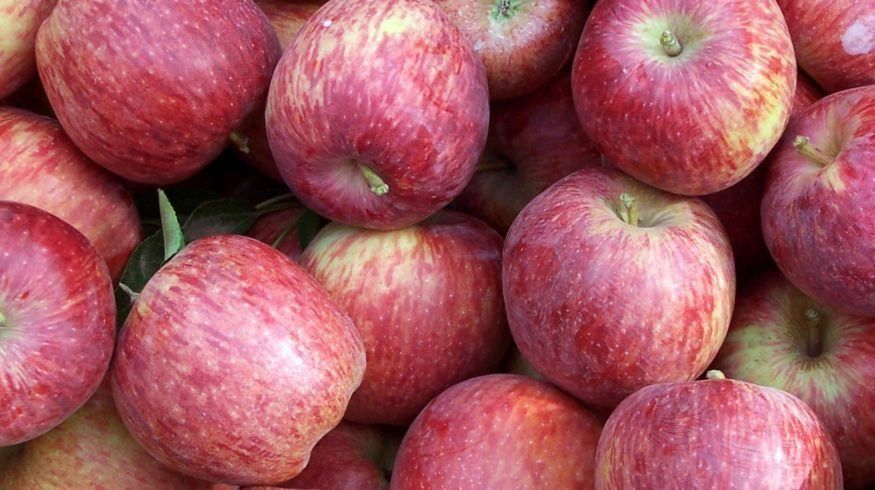 La tradicional productora de manzanas Moño Azul cierra una planta en Río Negro