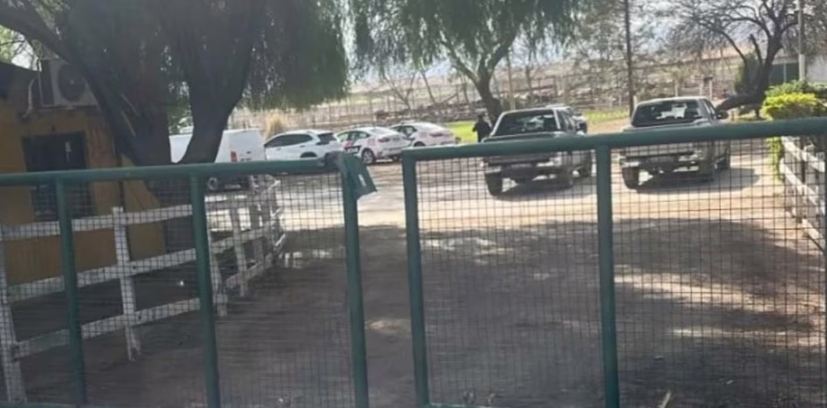 Lucero murió atacado por un toro mientras controlaba el tambo más grande de San Juan. Lucero murió atacado por un toro mientras controlaba el tambo más grande de San Juan.