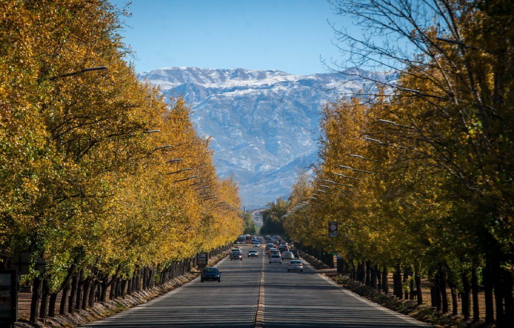 Museos en Mendoza para redescubrir la ciudad con una mirada diferente