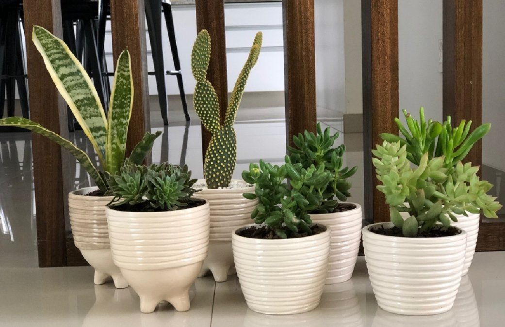 Macetas y macetones: una opción adaptable y decorativa