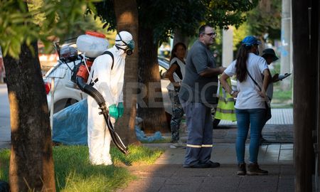 Hay que sacar de los patios y los espacios abiertos todo lo que contenga agua. Es un trabajo que no se termina de realizar”, dijo la ministra Martorano. Hay que sacar de los patios y los espacios abiertos todo lo que contenga agua. Es un trabajo que no se termina de realizar”, dijo la ministra Martorano.