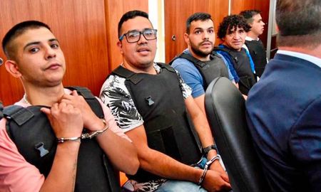 rechazaron el pedido para que los monos vuelvan a la provincia rechazaron el pedido para que los monos vuelvan a la provincia