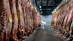 altText(China impondrá aranceles a la importación de carne: fuerte perjuicio para la Argentina)}