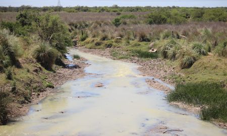 Científicos de la UNL detectaron alto deterioro ambiental en arroyos santafesinos. Científicos de la UNL detectaron alto deterioro ambiental en arroyos santafesinos.