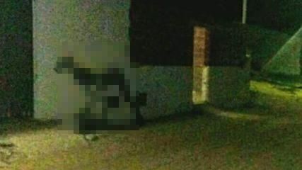 Extraña criatura asesinó a dos perros y causa pánico en el sur provincial