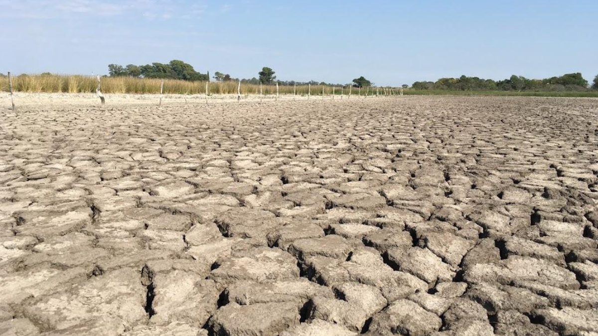 Bajante y sequía extrema: ¿el 2020 será uno de los años más secos de la  historia?