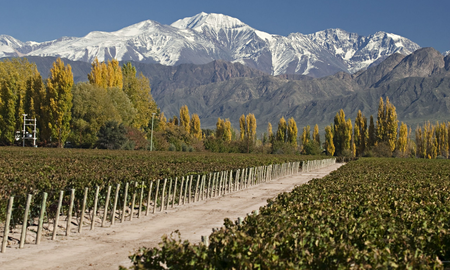 Cuáles son los atractivos turísticos más visitados de Mendoza Cuáles son los atractivos turísticos más visitados de Mendoza
