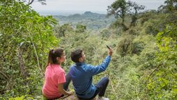 Tartagal combina naturaleza selvática, historia y gastronomía típica en una escapada ideal para el verano.
