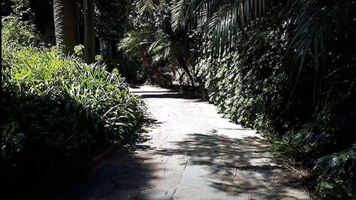 El camino que conectaba el frente de la casa con la parte principal.