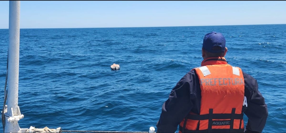 Habían salido el 14 de enero por la madrugada y fue la última vez que se los vio. Habían salido el 14 de enero por la madrugada y fue la última vez que se los vio.