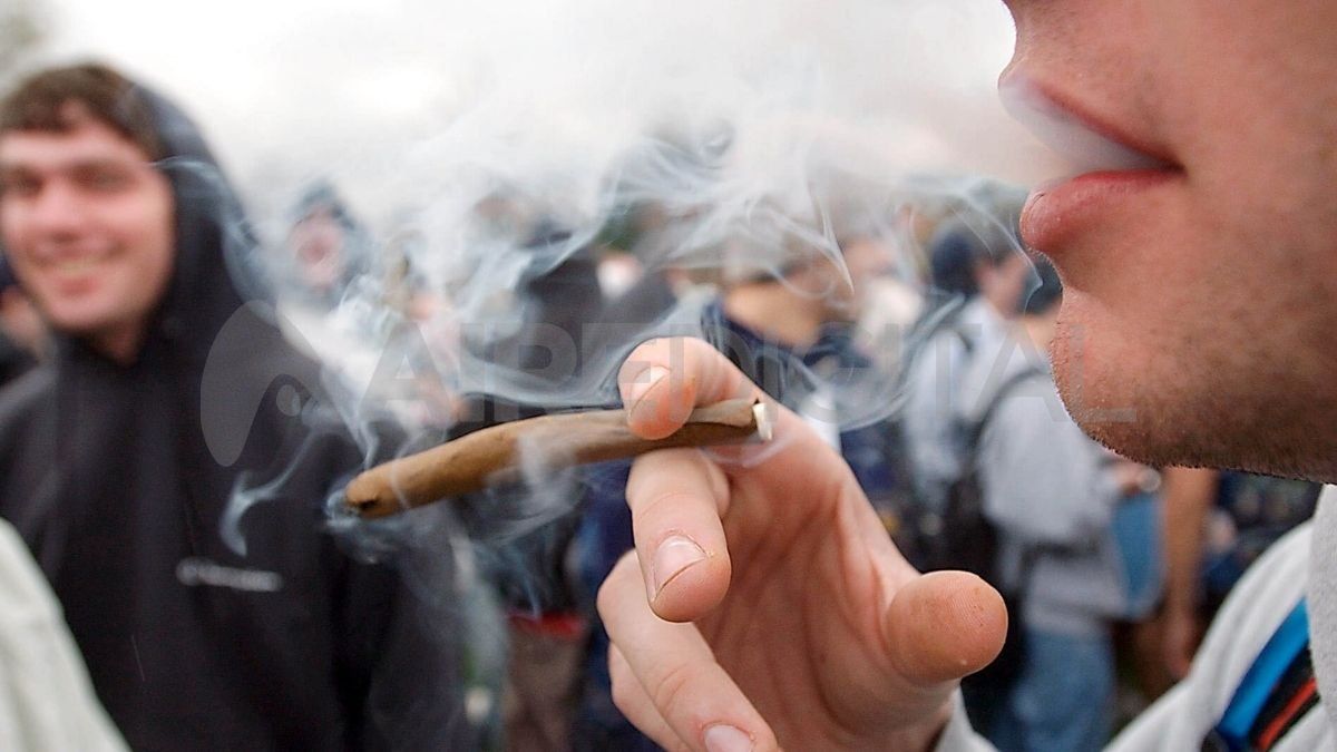 La Sedronar realizará una encuesta sobre el consumo de drogas en los jóvenes