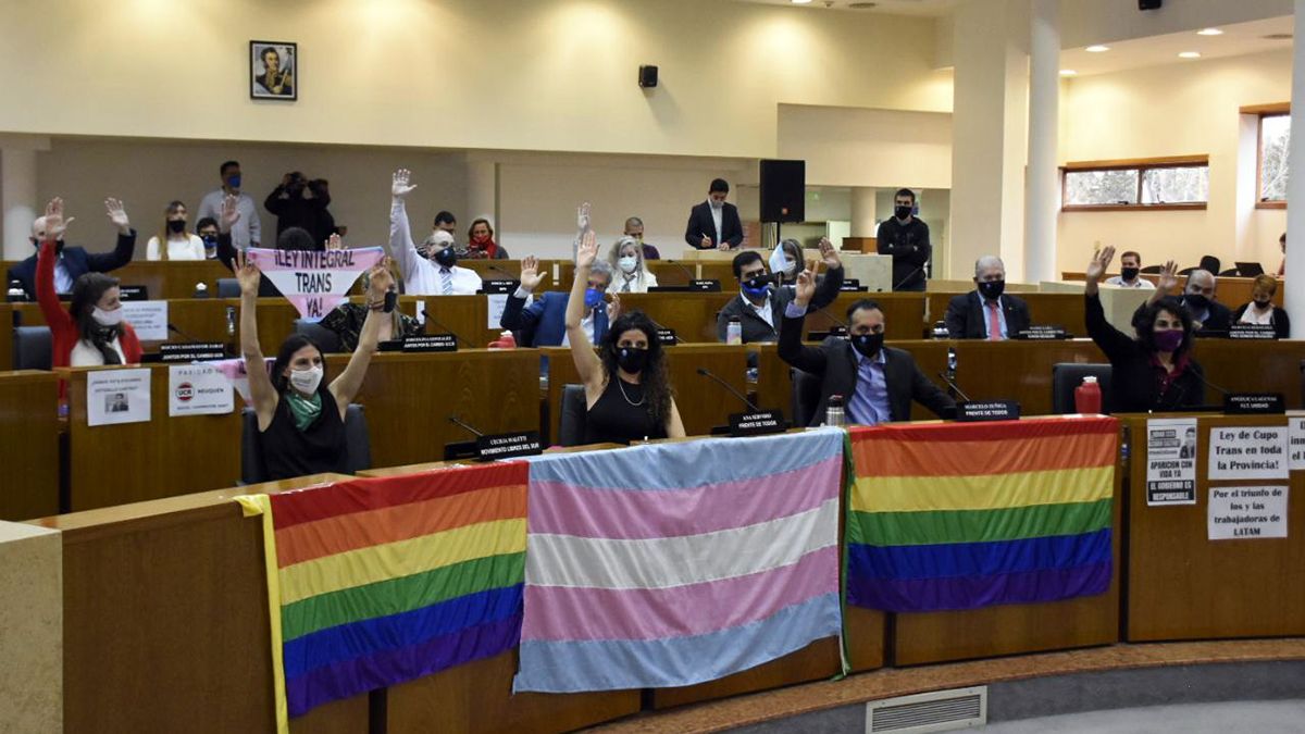 El Concejo Deliberante de Neuqu&eacute;n aprob&oacute; por mayor&iacute;a el cupo laboral trans en la municipalidad.
