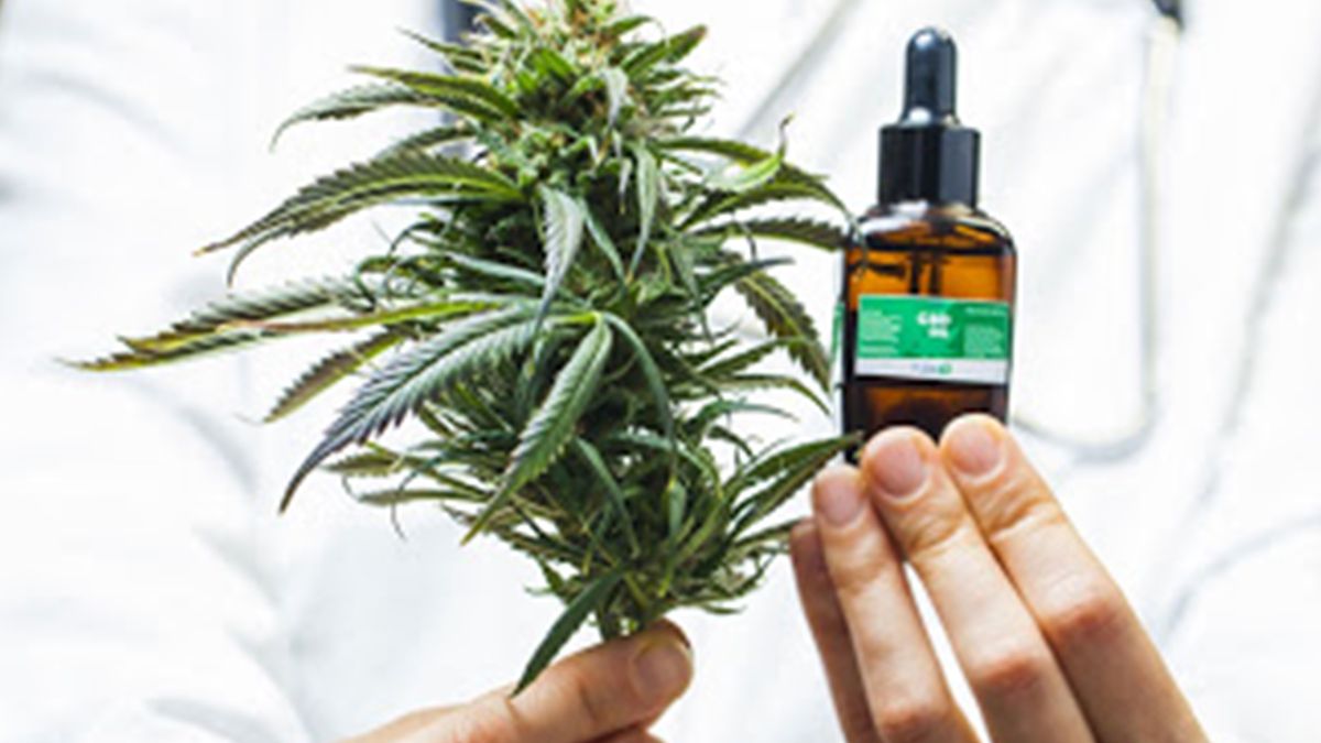 Santa Fe dará un paso trascendental en la producción de cannabis medicinal.