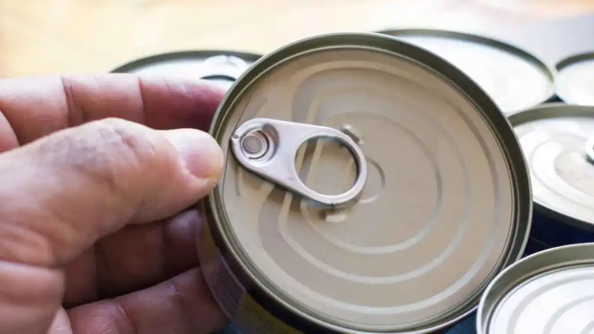 Cómo reutilizar las latas de atún y no desperdiciarlas: 3 ideas originales para casa.