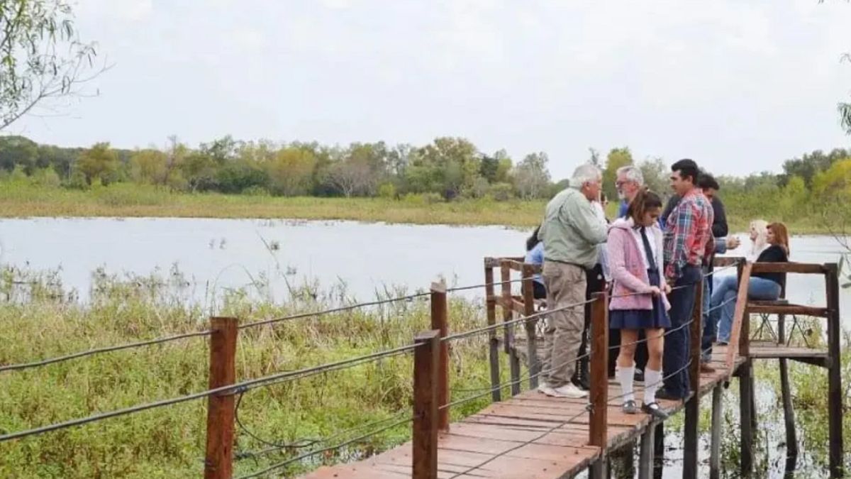 El río Bermejo no solo separa geográficamente a Formosa de Chaco, sino que funciona como un corredor biológico vital que transporta sedimentos y nutrientes esenciales para el ecosistema litoraleño. El río Bermejo no solo separa geográficamente a Formosa de Chaco, sino que funciona como un corredor biológico vital que transporta sedimentos y nutrientes esenciales para el ecosistema litoraleño.