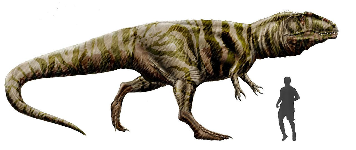El Gigantosaurus, reimaginado