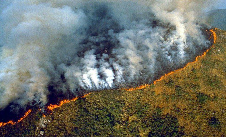 ¿Qué está pasando con los masivos incendios en el corazón del Amazonas y por qué son tan graves?