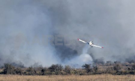 En lo que va de 2023 ya se incendiaron unas 138.642 hectáreas en el Delta del río Paraná, una superficie que equivale a casi ocho veces la ciudad de Rosario. En lo que va de 2023 ya se incendiaron unas 138.642 hectáreas en el Delta del río Paraná, una superficie que equivale a casi ocho veces la ciudad de Rosario.
