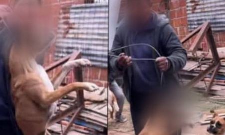 El acusado fue detenido en su casa de Los Hornos, La Plata, tras la denuncia de vecinos. El acusado fue detenido en su casa de Los Hornos, La Plata, tras la denuncia de vecinos.
