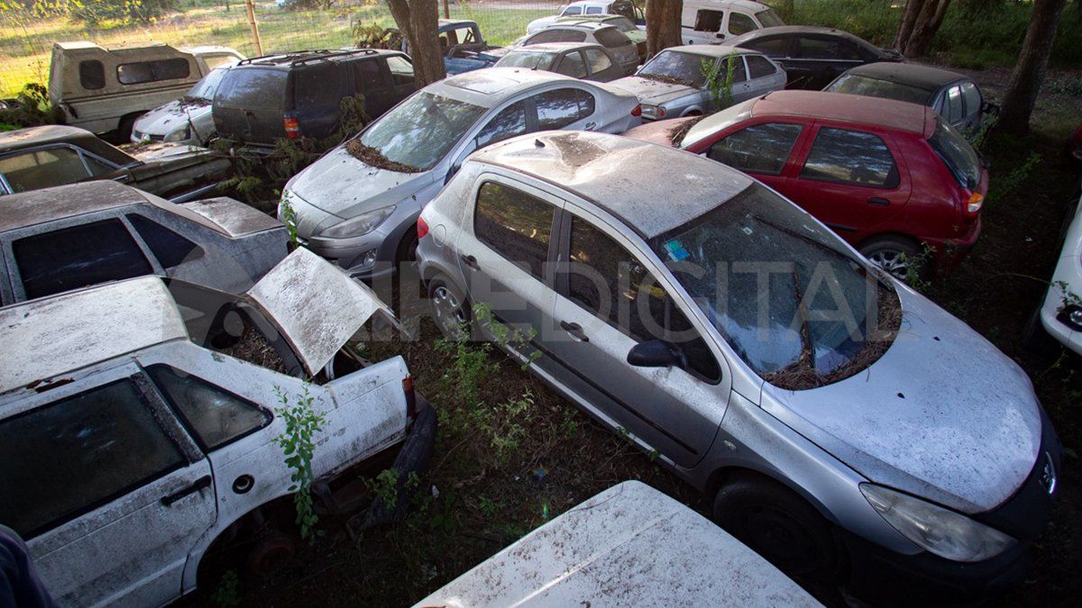 Un cementerio. Los vehículos quedaron obsoletos con el paso del tiempo.