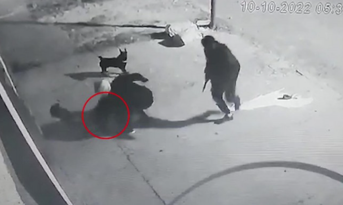 Un joven sacó a pasear su perro y dos delincuentes lo picanearon en la cabeza para robarle