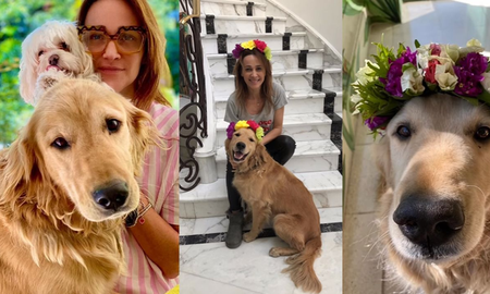 La conmovedora carta de Verónica Lozano para despedir a su perro: Huelo tu collar para tenerte un rato más La conmovedora carta de Verónica Lozano para despedir a su perro: Huelo tu collar para tenerte un rato más