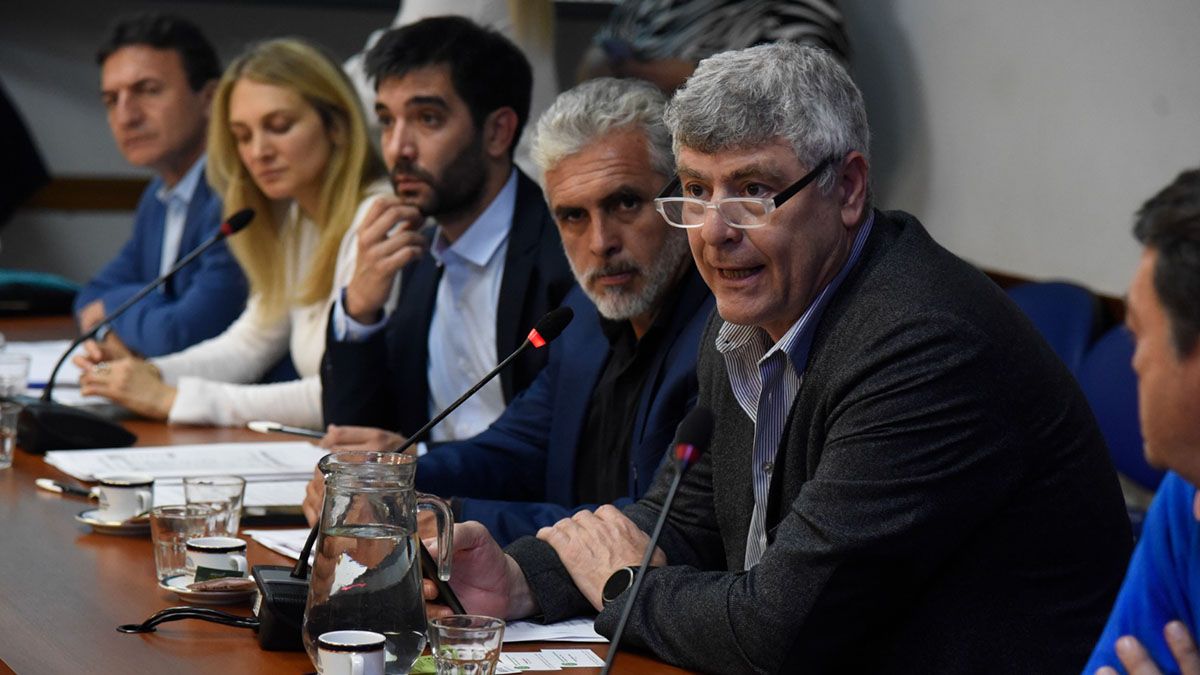 La Comisión de Agricultura y Ganadería de la Cámara de Diputados avanzó este jueves con el Régimen de Promoción de la producción orgánica para economías regionales.