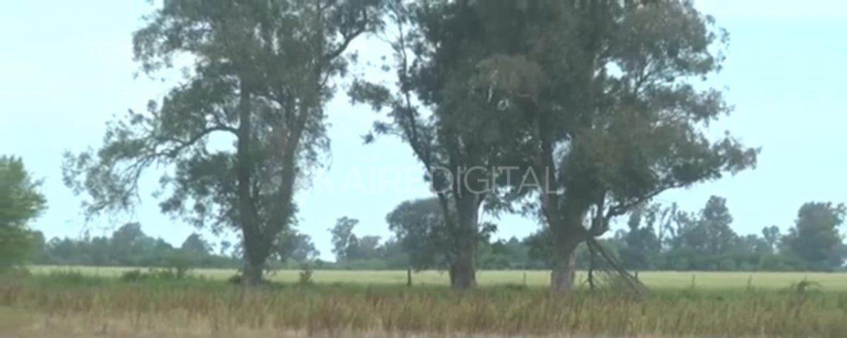 Horror en San Justo: realizan las autopsias del niño asesinado y su padre