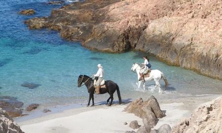 La navegación por las costas de Bahía Bustamante permite el avistaje de colonias de lobos marinos de un pelo y diversas especies de cormoranes en su hábitat natural, sin intervención humana. La navegación por las costas de Bahía Bustamante permite el avistaje de colonias de lobos marinos de un pelo y diversas especies de cormoranes en su hábitat natural, sin intervención humana.