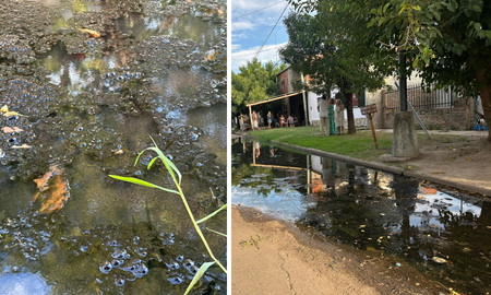 Cloacas rebalsadas en barrio Los Hornos. Cloacas rebalsadas en barrio Los Hornos.