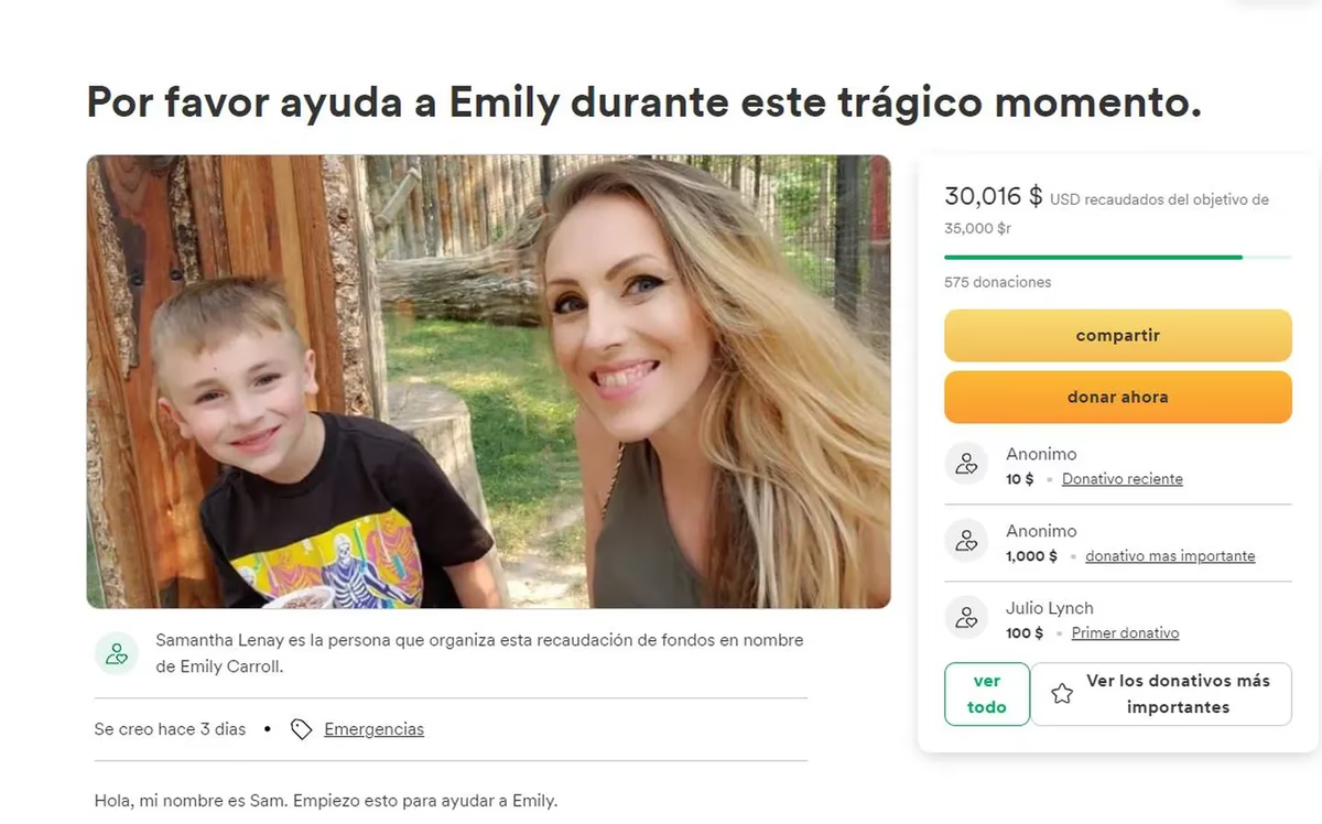 Allegados de Emily Islas ya recaudaron 30.000 dólares para ayudarla con los gastos médicos y para criar a su otra hija. (Foto: captura de GoFundMe).