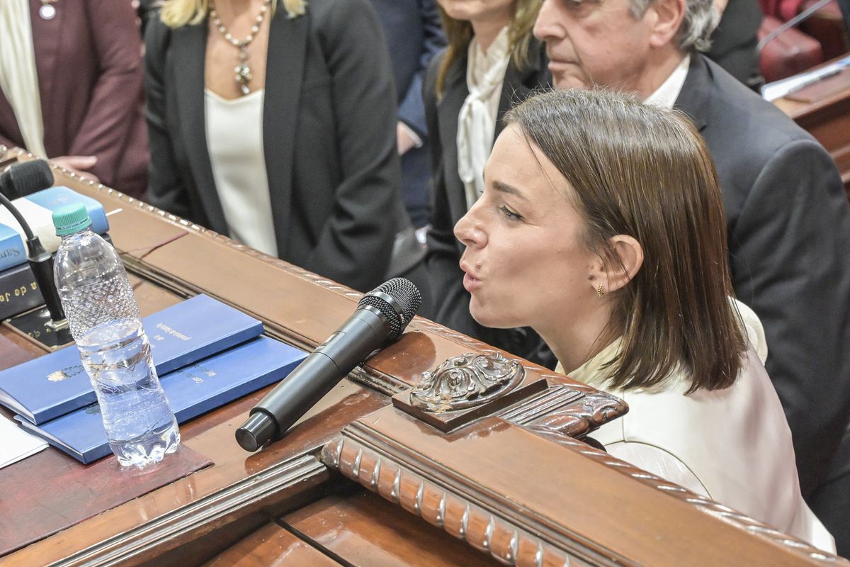 “Por el pueblo santafesino, por la memoria de Juan Domingo y Eva Perón, sí, juro”, dijo Lucila De Ponti. “Por el pueblo santafesino, por la memoria de Juan Domingo y Eva Perón, sí, juro”, dijo Lucila De Ponti.