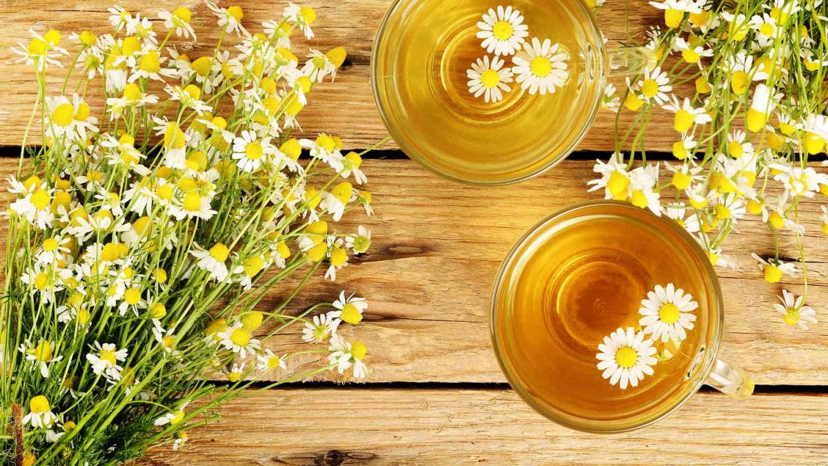 Para qué sirve el té de manzanilla y cómo prepararlo