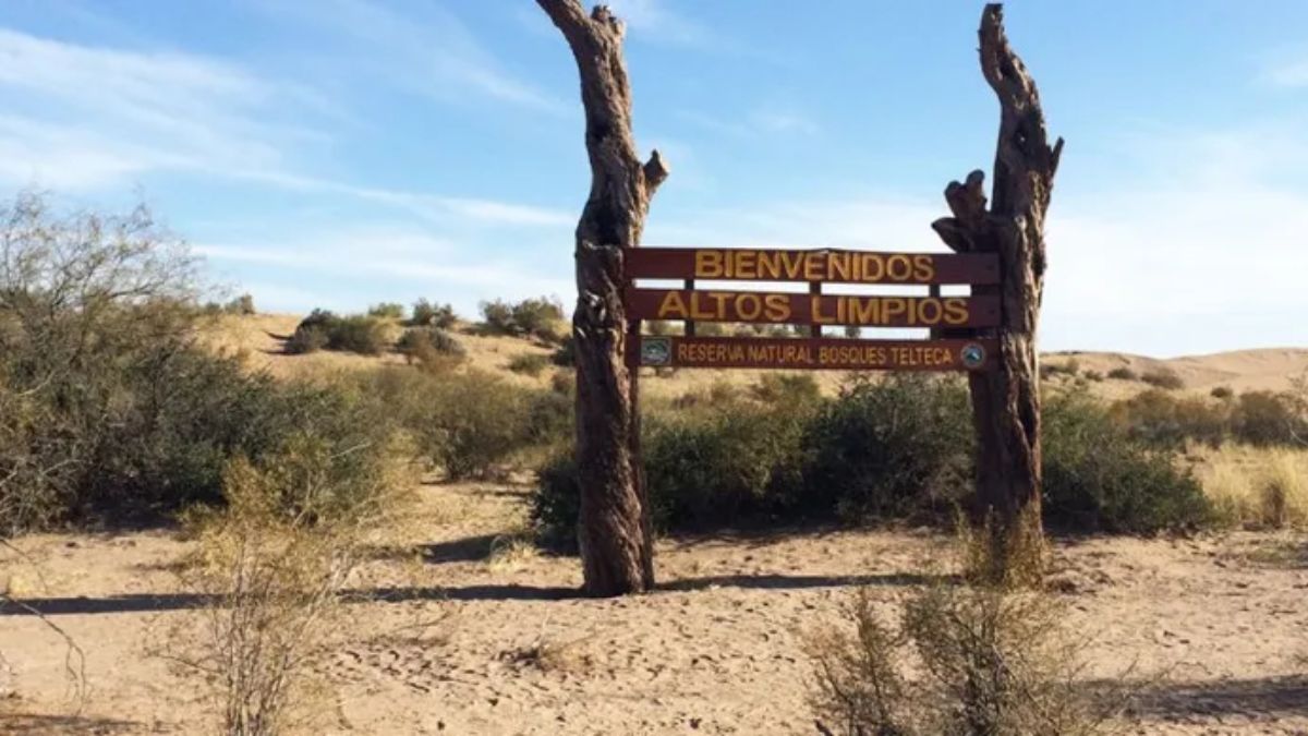 Los Altos Limpios sorprenden con médanos gigantes que cambian su forma según el viento cuyano. Los Altos Limpios sorprenden con médanos gigantes que cambian su forma según el viento cuyano.