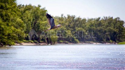 Aire de Santa Fe | Parque Nacional Islas de Santa Fe: un paisaje único en Argentina para conocer y descansar en contacto con la naturaleza