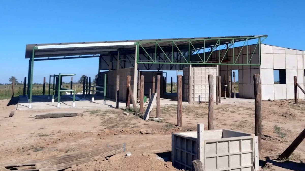 Actualmente son pocos los productores que se arriesgan a invertir, a pesar del buen momento de los precios.