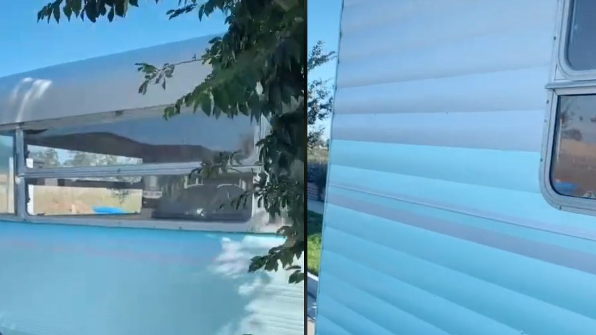 El video es furor en TikTok. El dueño piensa que está pintada de azul y blanco
