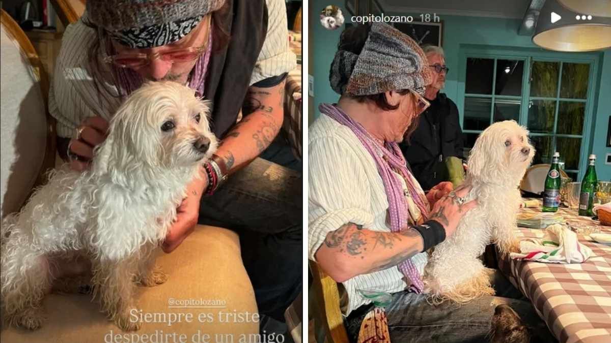 Johnny Depp junto a Copito, el perro de Vero Lozano. Johnny Depp junto a Copito, el perro de Vero Lozano.