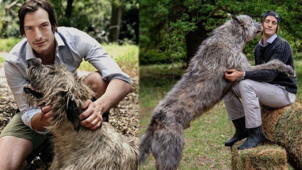 Furor en las redes por el perro gigante de Iván de Pineda