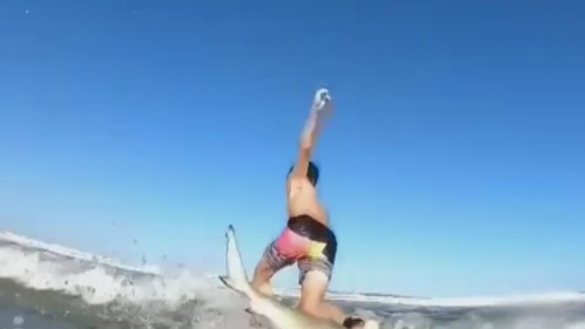 Video: Un tiburón impacta contra la tabla de surf de un niño